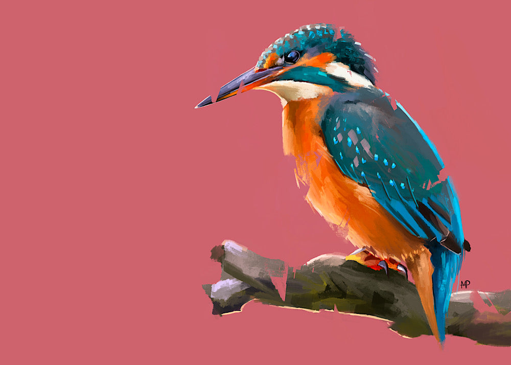 Kingfisher Bird Art Print & Canvas