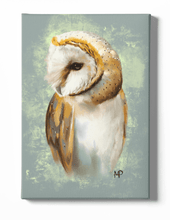 Load image into Gallery viewer, Barn Owl Bird Canvas Art

