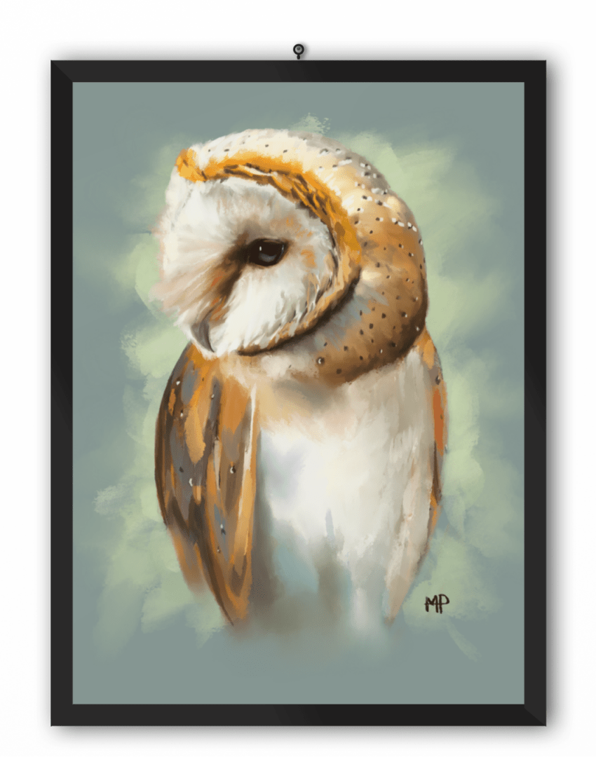 Barn Owl Bird Art Print