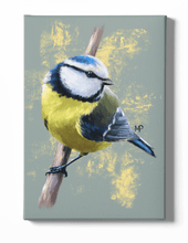 Load image into Gallery viewer, Blue Tit Bird Canvas Art
