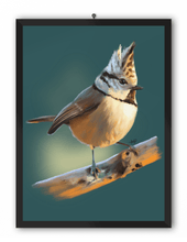 Load image into Gallery viewer, Crested Tit Bird Art Print
