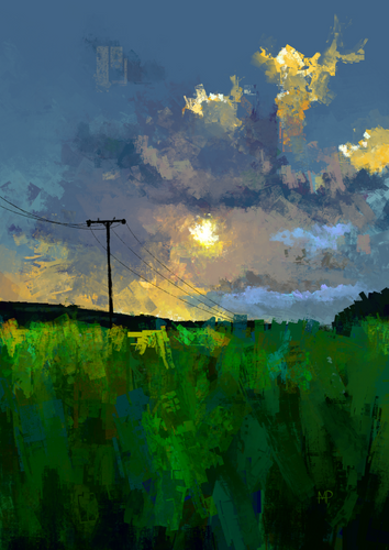 Field at Sunset Scenery Art Print & Canvas