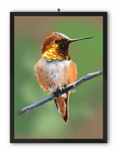 Load image into Gallery viewer, Hummingbird Art Print
