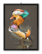 Load image into Gallery viewer, Mandarin Duck Bird Art Print

