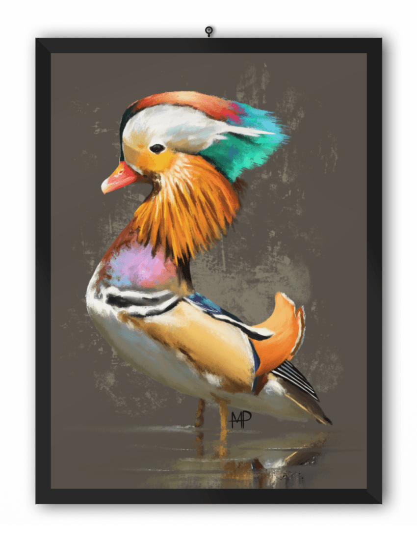 Mandarin Duck Bird Art Print