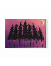 Load image into Gallery viewer, Nighttime Forest Scenery Canvas Art

