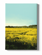 Load image into Gallery viewer, Sunlit Cornfield Scenery Canvas Art
