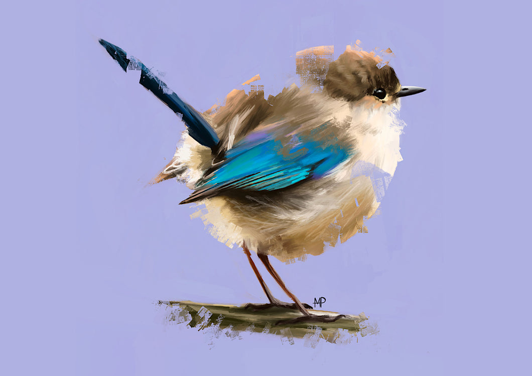 Fairywren Bird Art Print & Canvas