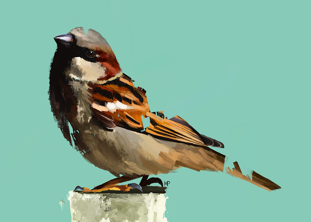 House Sparrow Bird Art Print & Canvas