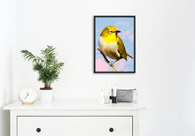 Load image into Gallery viewer, Indian White-Eye Bird Art Print on Living Room White Wall
