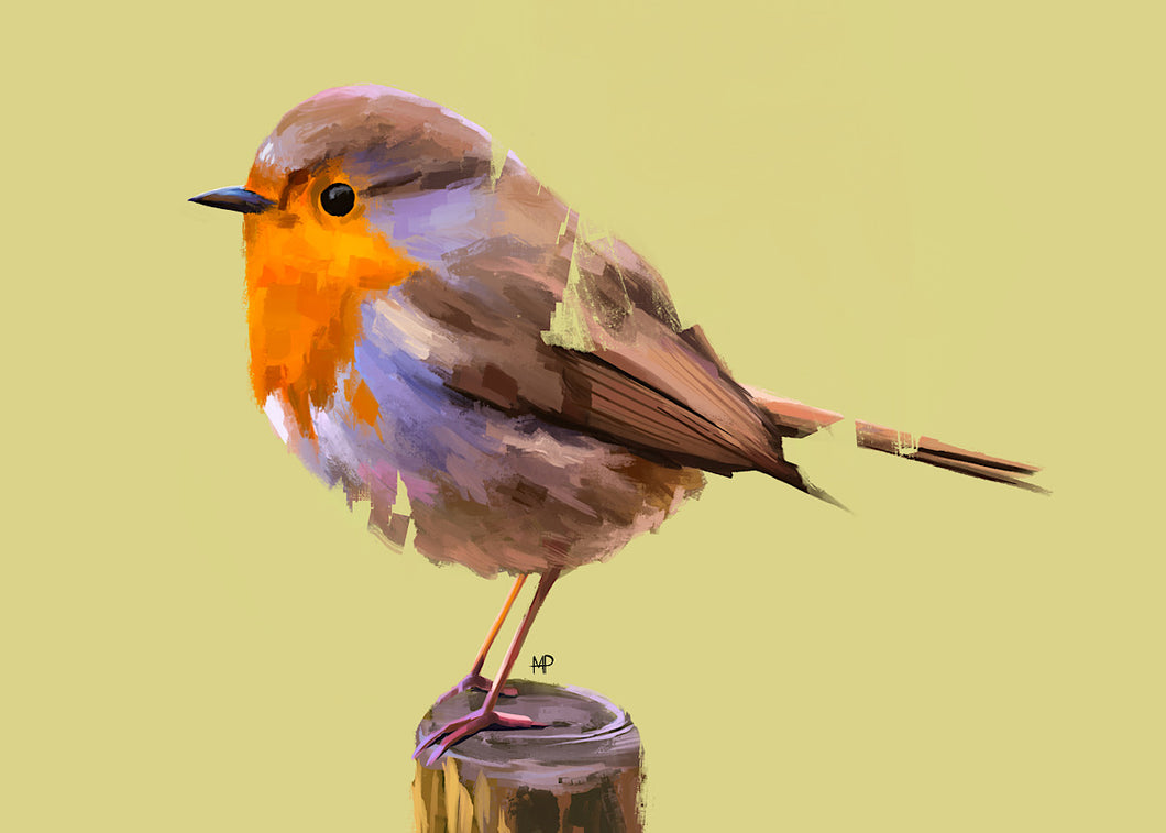 Robin Red Breast Bird Art Print & Canvas